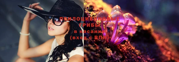 стафф Белоозёрский
