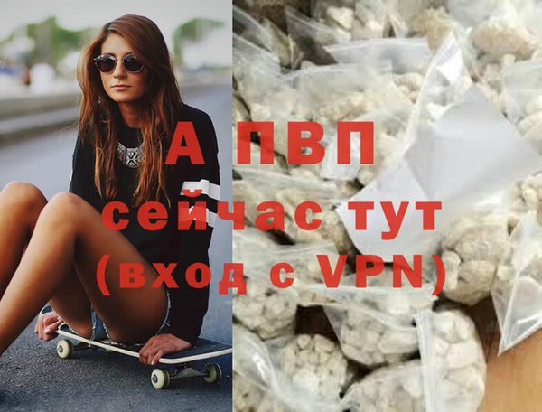 скорость Белокуриха