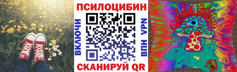 darknet Telegram  omg зеркало  Галлюциногенные грибы мицелий  Энем  купить  цена 